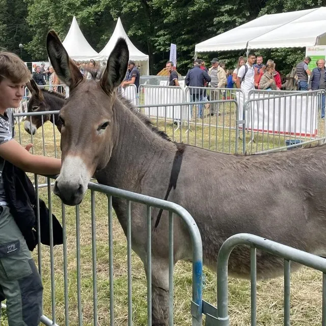 photo d’autres animaux sont présents dans l’espace grand public.  ©  ouest-france