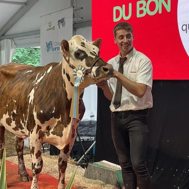 photo léo defois, victorieux du concours de meneurs au national normand.  ©  ouest-france
