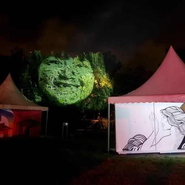 photo samedi soir, les fresques éclairées et les projections nocturnes de philippe echaroux donnent un côté magique au parc du gué-maulny.  ©  le maine libre