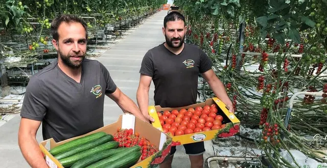 photo  pierre leroy et thomas ouvrard dans l’une des serres de l’exploitation, à la flèche, le vendredi 23 juin 2023.  &copy;  le maine libre 