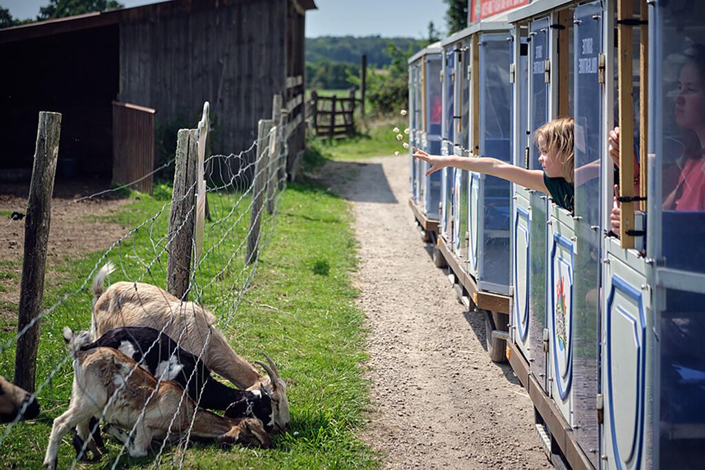 Visiter une ferme en famille