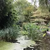 photo le jardin intérieur à ciel ouvert d’athis-de-l’orne a été labellisé jardin remarquable en 2020 par le ministère de la culture.