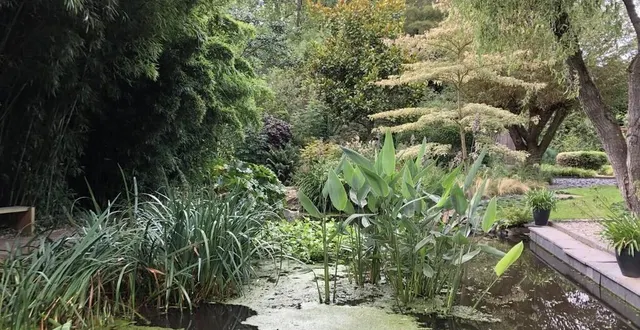 photo  le jardin intérieur à ciel ouvert d’athis-de-l’orne a été labellisé jardin remarquable en 2020 par le ministère de la culture.  &copy;  ouest-france 