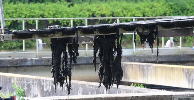 photo  les lingettes jetées dans les wc se décomposent en filasses qui obstruent et perturbent le fonctionnement de la station d’épuration.  &copy;  archives ouest-france 