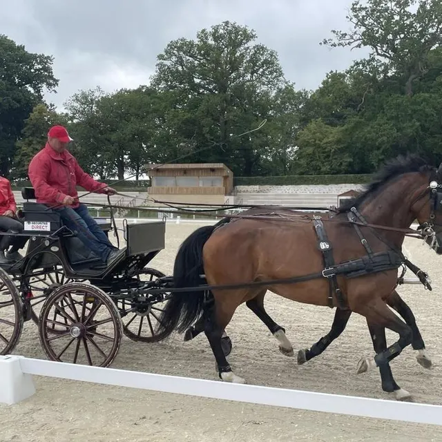 photo le dressage (ici sur la nouvelle piste) sera la première épreuve du concours d’attelage.  ©  ouest-france