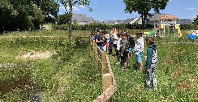 photo  les élèves de quatre écoles de la communauté de communes des vallées du haut-anjou (ici bécon-les-granits) ont pu découvrir une mare bocagère restaurée.  &copy;  dr 