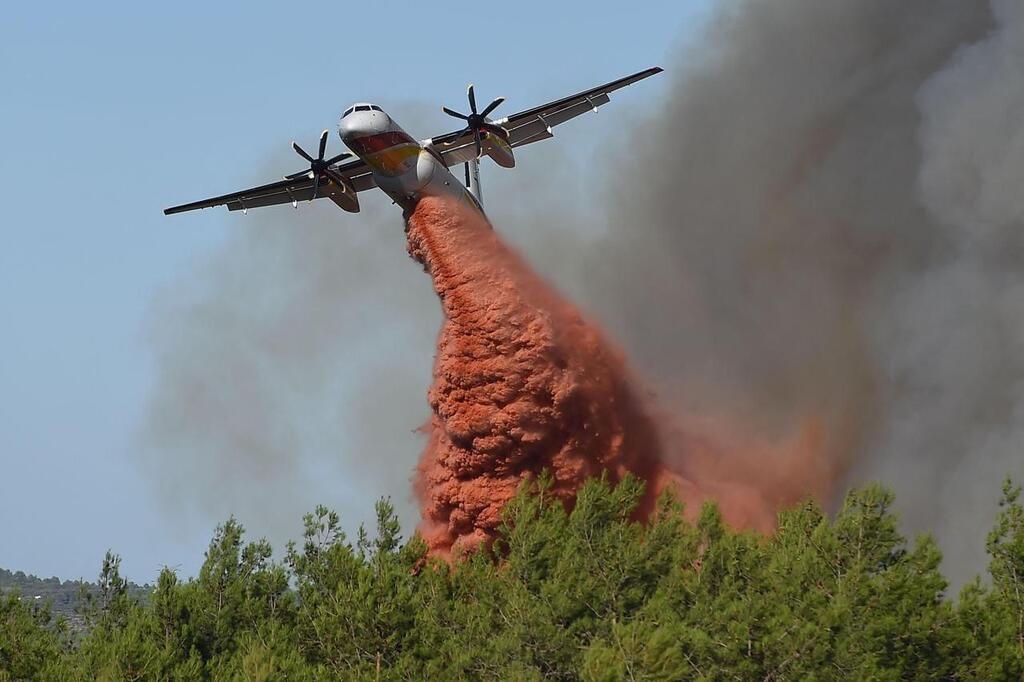 Risques d’incendies de cet été : comment le Maine-et-Loire se prépare ...