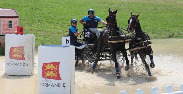 photo  un des passages les plus durs pour les chevaux : courir dans l’eau.  &copy;  ouest-france 