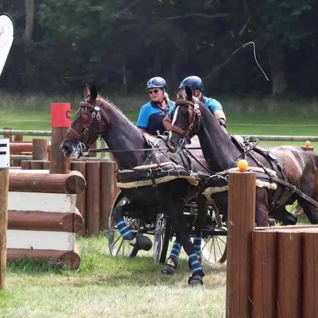 photo le but de l’épreuve : contourner tous les obstacles le plus vite possible.  ©  ouest-france