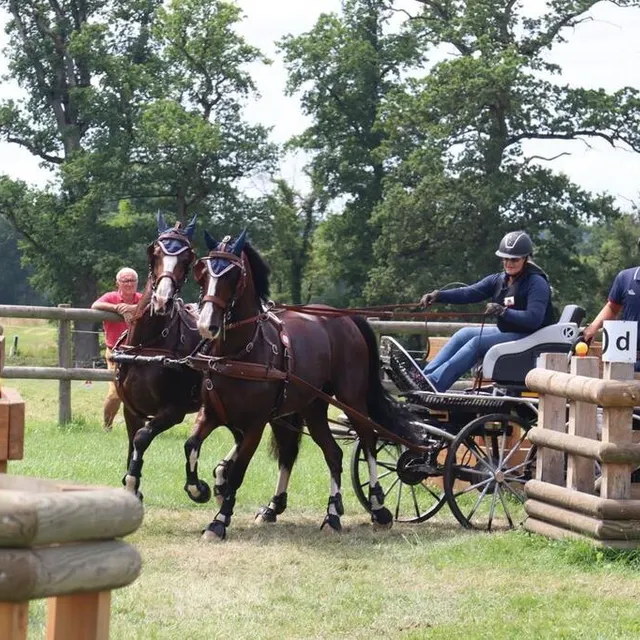 photo le meneur, à l’avant, tient les rênes et guide les chevaux.  ©  ouest-france