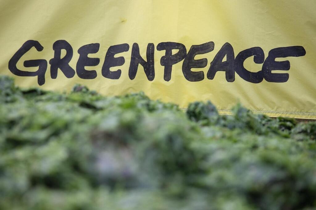 Algues vertes déversées par des militants de Greenpeace la préfecture