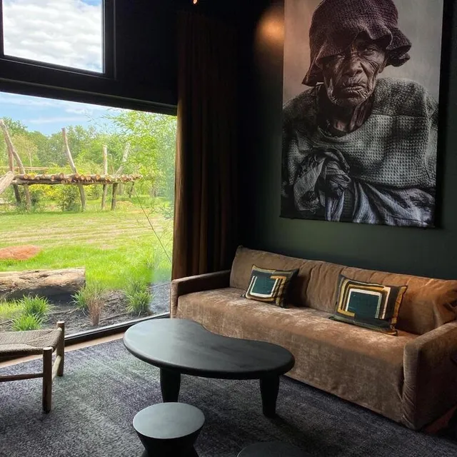 photo chaque safari suite est dotée d’une large baie vitrée, pour pouvoir observer les guépards ou les lions d’afrique.  ©  ouest-france