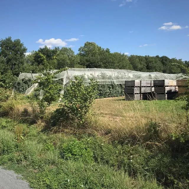 photo la boucle traverse les vergers derrière bazouges-cré-sur-loir.  ©  archives ouest-france