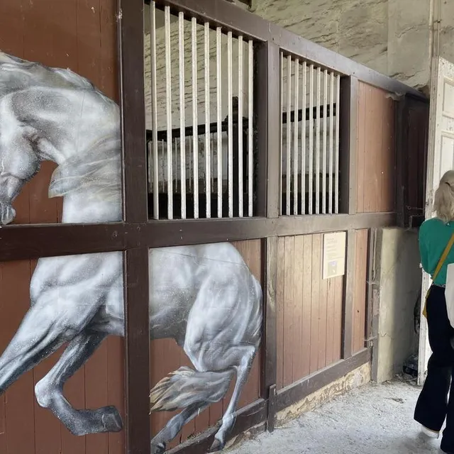 photo nadège dauvergne et son œuvre intitulée « ambiguïté 4 », installée dans les écuries du haras.  ©  ouest-france