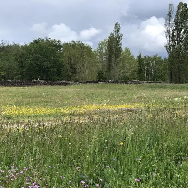 photo les prairies de cherré au printemps.  ©  photo le maine libre