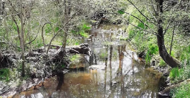 photo  un cours d’eau du bassin du thouaret.  &copy;  archives co 