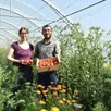 photo  léa et pierre cultivent les légumes bio de saison dans les serres bordées de plantes mellifères. 