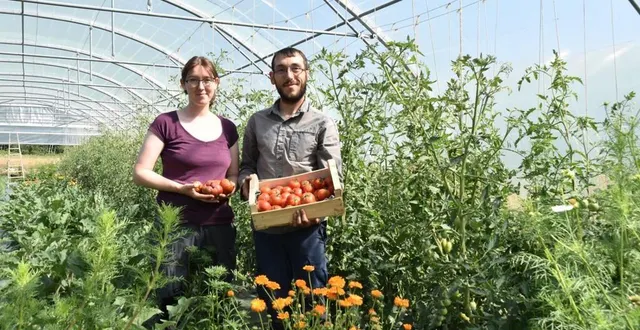 photo  léa et pierre cultivent les légumes bio de saison dans les serres bordées de plantes mellifères.  &copy;  le maine libre 