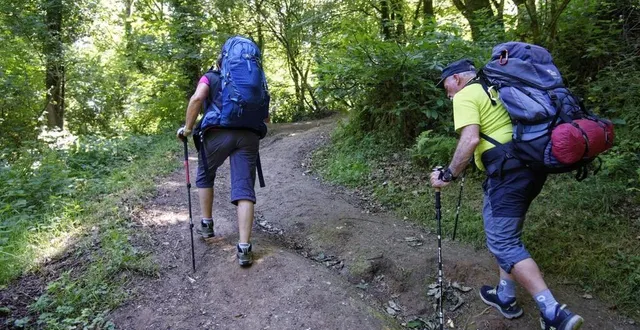 photo  voici les endroits où faire une randonnée, une visite guidée ou une sortie familiale dans la nature dans le pays d’argentan. photo d’illustration.  &copy;  vincent michel / ouest-france 