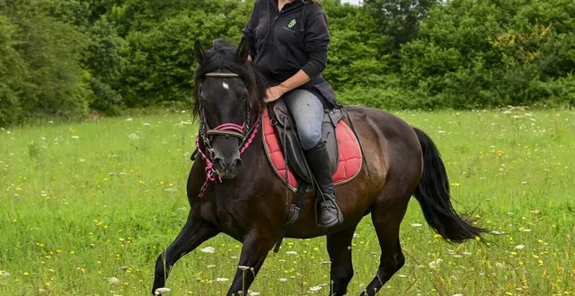 photo  sur le dos de son cheval solodzo, aurélie gypteau propose aux touristes de découvrir la campagne sarthoise d’une autre manière.  &copy;  photo le maine libre – yvon loué 