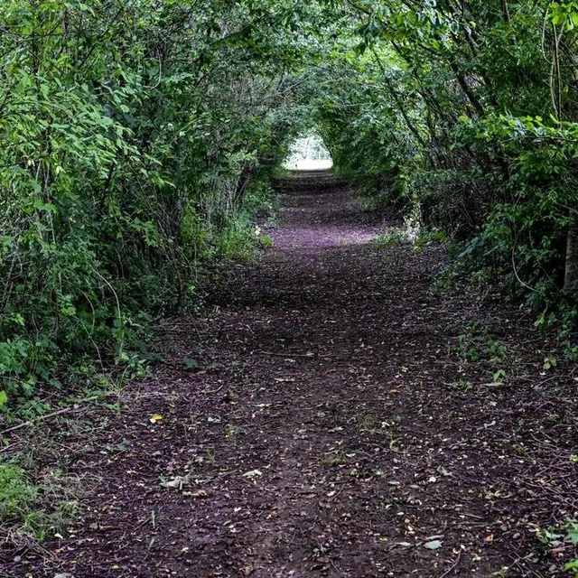 photo la ballade est composée de jolis chemins creux en plein milieu du bocage sarthois.  ©  photo le maine libre – yvon loué