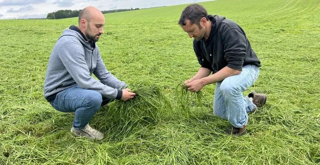 photo  étienne (à gauche) et mathieu boudvin, deux frères éleveurs laitiers bio installés à luché-pringé (sarthe), ont construit leur autonomie sur des pâtures irriguées et le séchage en grange.  &copy;  ouest-france 