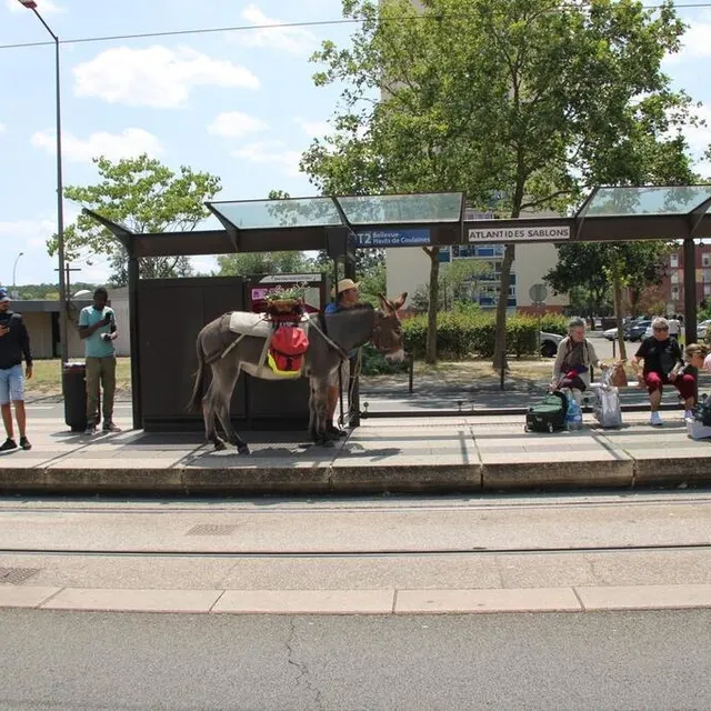 photo un usager peu banal devant l’arrêt de tramway atlantides sablons.  ©  le maine libre