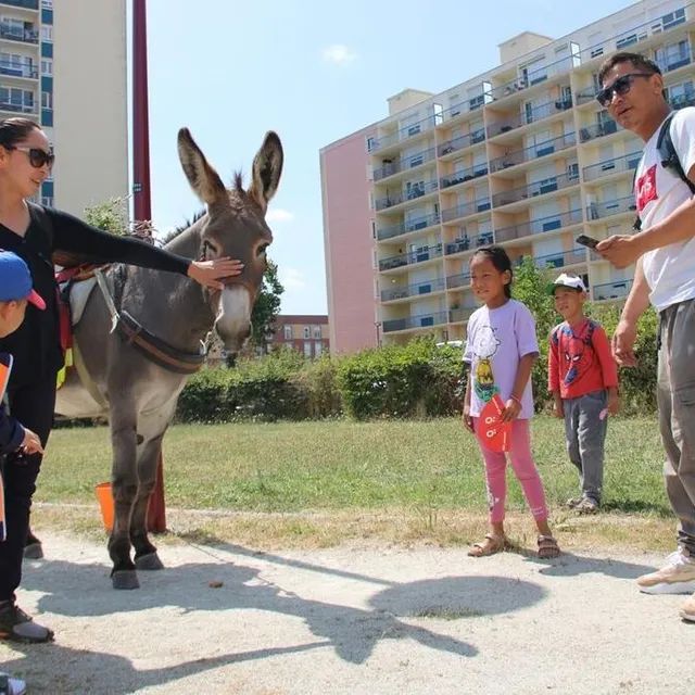 photo peu avant 14 h, l’ânesse s’est mise à braire d’impatience, attirant l’attention des habitants des tours voisines, sortant la regarder depuis leur balcon, et de quelques passants venus caresser l’animal.  ©  le maine libre