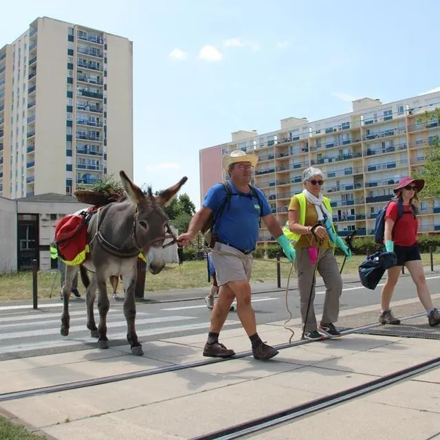 photo habituée des sentiers de grande randonnée, l’ânesse image a foulé le bitume du mans ce samedi.  ©  le maine libre