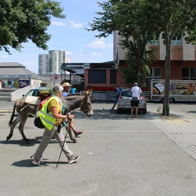 photo l’ânesse a traversé une place du marché déserte, ce samedi.?  ©  le maine libre