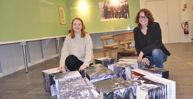 photo  une animation ludique composée de cubes a été installée au milieu de l’exposition.  &copy;  archives co 
