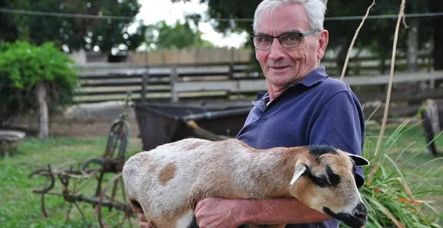 photo  joël mahé, c’est une vie passée auprès des animaux. il est ici avec douala, un mouton du cameroun.  &copy;  le maine libre 