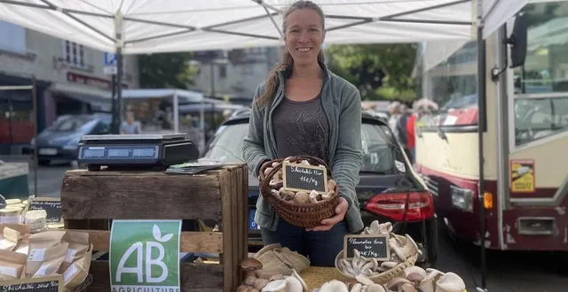 photo  audrey chevreaux a installé son étal pleurotes de l’orne sur la place du marché il y a quelques semaines.  &copy;  ouest-france 