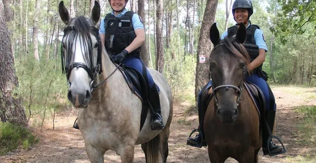 photo  en sarthe, le groupement de gendarmerie expérimente pour la première fois les patrouilles à cheval, dans le but de prévenir les feux de forêt.  &copy;  ouest-france 