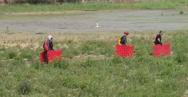 photo  le cygne a pu être sauvé des eaux vaseuses.  &copy;  mairie de saint-calais 