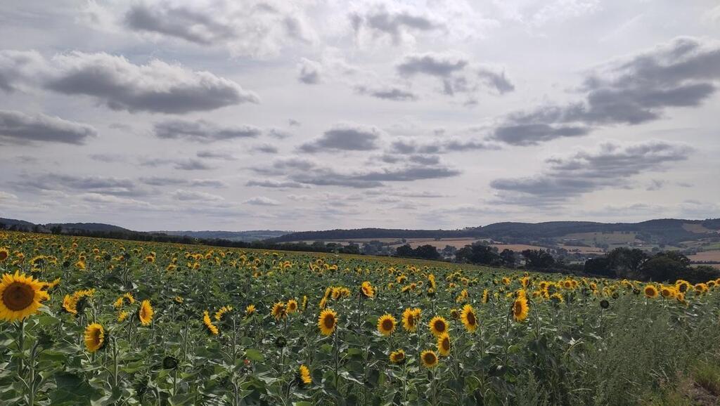 Sur la route du GR. D part de Thury Harcourt pour le GR pr f r