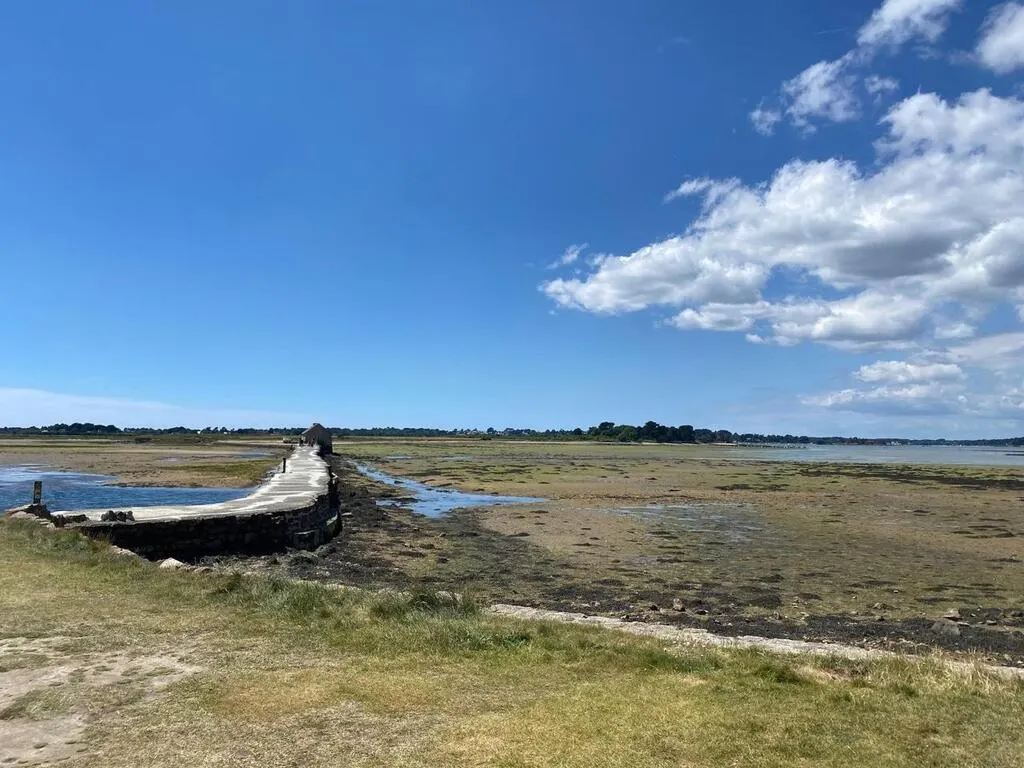 Soirée moules frites, visites, carte au trésor… Que faire dans le pays de Vannes ce weekend