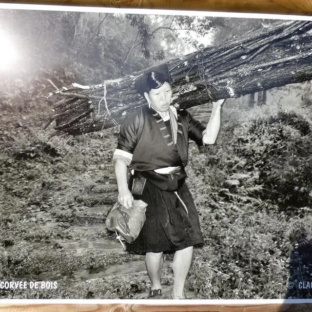 photo corvée de bois, en chine.  ©  claude guillaumin