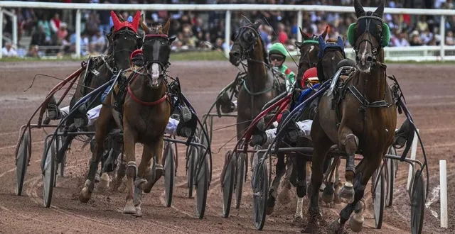 photo  lors de la deuxième course, en trot attelé pour le prix des établissements touchard, alexandre plard (n° 4) remporte l’épreuve avec le cheval hélios djema.  &copy;  le maine libre – denis lambert 