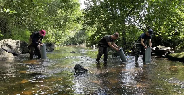 photo  jade bidois, hugo béchade et evan jacquet-david ont passé trois mois à chercher des mulettes perlières, un mollusque protégé, dans le rouvre (photo), le sarthon et l’airou.  &copy;  ouest-france 