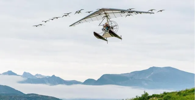 photo  le film « donne-moi des ailes » sera projeté vendredi à 21 h 30 au stade.  &copy;  capelight pictures ohg 