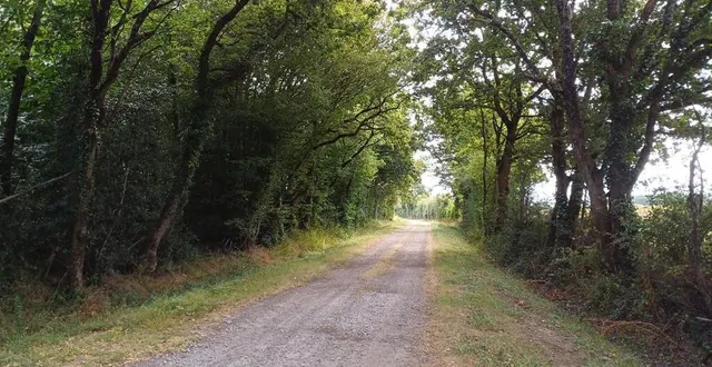 photo  des chemins bien entretenus pour de belles balades en famille à landemont, commune déléguée d’orée-d’anjou (maine-et-loire).  &copy;  dr 
