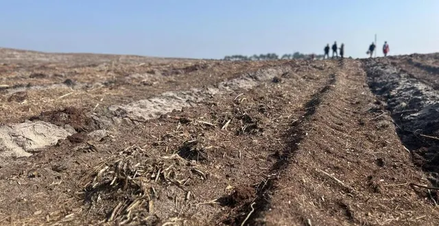 photo  sécheresse en sarthe : la situation s’améliore. deux bassins versants restent en état de crise, selon un arrêté de la préfecture, pris mercredi 2 août 2023.  &copy;  archives ouest-france 