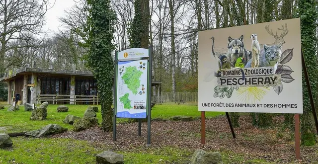 photo  le domaine zoologique de pescheray est exceptionnellement fermé ce mercredi 2 août 2023.  &copy;  archives – yvon loué 