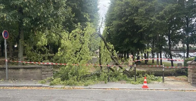photo  un arbre est tombé à l’entrée du parc des jacobins, entrée rue robert garnier, en début d’après-midi.  &copy;  le maine libre 