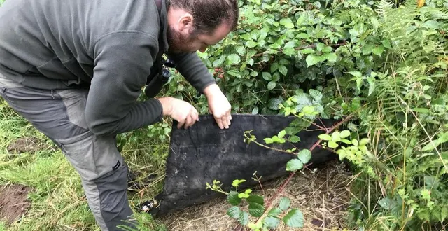 photo  élie bodin, chargé de mission au cpie collines normandes suit l’évolution des populations de reptiles et d’amphibiens dans l’orne.  &copy;  ouest-france 