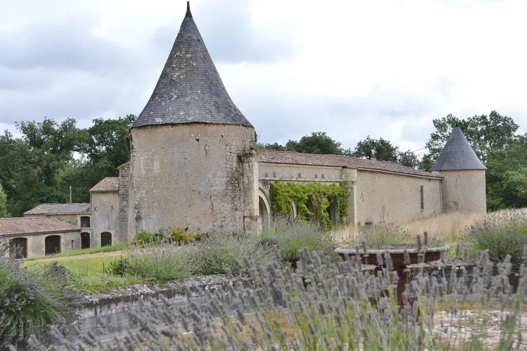 EN IMAGES. Près de Thouars, le méconnu château de Marsay se dévoile au