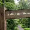 photo il sera notamment question de l’aménagement du vallon de l’hermitièreet de la gestion forestière de l’onf.