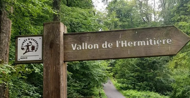 photo  il sera notamment question de l’aménagement du vallon de l’hermitièreet de la gestion forestière de l’onf.  &copy;  ouest-france 