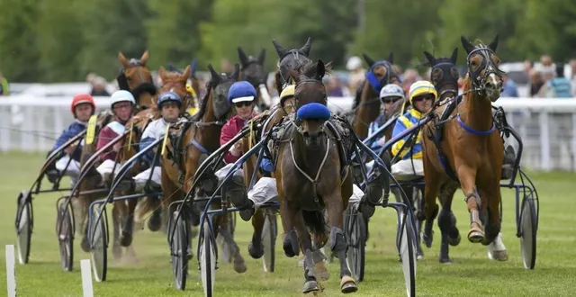 photo  des chevaux, des poneys, des animations pour tous les âges, samedi prochain sur l’hippodrome de la forêt.  &copy;  photo illustration yvon loué 